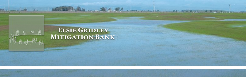 Elsie Gridley Mitigation Bank